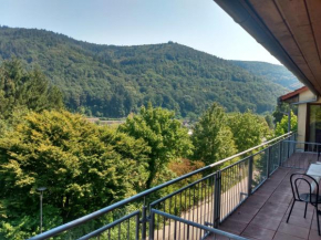 Hotel zum Neckartal Heidelberg